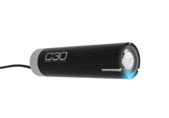 C30