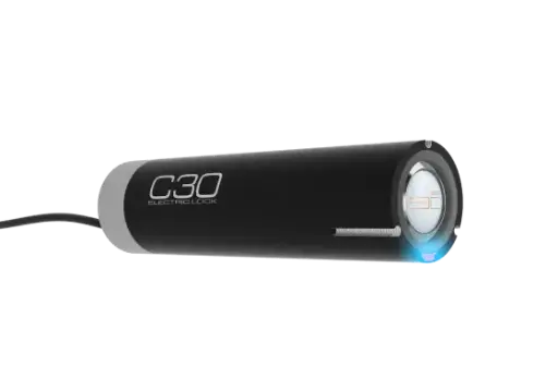 C30